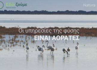 Οι υπηρεσίες της φύσης είναι αόρατες – δείτε videos