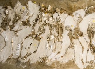 Σε ενδιάμεση λύση για τους Δεσμώτες Φαλήρου κατέληξε το ΚΑΣ