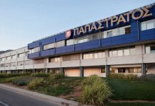 Παπαστράτος: Υλοποίηση προγράμματος αναδάσωσης στην Πεντέλη