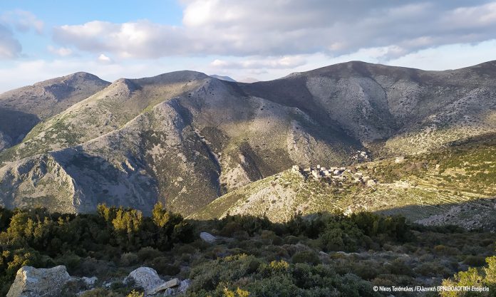 βουνό - Mani_ORNITHOLOGIKI_NikosTsiopelas
