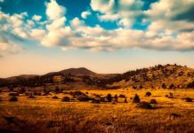 Περιοχές Natura2000: οι καλές ευρωπαϊκές πρακτικές – με παραδείγματα