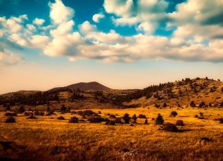 Καταγγελία στην ΕΕ για «τον νέο νόμο που απειλεί τις περιοχές Natura 2000» από 13 ΜΚΟ