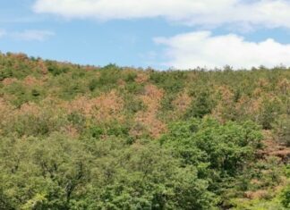 Ο δήμος Θεσσαλονίκης ενισχύει την πυροπροστασία του Σέιχ Σου