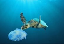 Μόλυνση από τα πλαστικά: ΜΚΟ καταγγέλλουν πως οι λομπίστες του τομέα του πετρελαίου έχουν δυσανάλογα μεγάλη παρουσία στις παγκόσμιες διαπραγματεύσεις