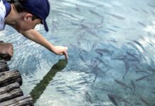 «Συμμαχία» για την ανάπτυξη του αλιευτικού τουρισμού στην Ελλάδα