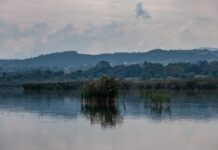 Αφιέρωμα: λίμνες και λιμνοθάλασσες της Ελλάδας μέσα από τα προγράμματα LIFE
