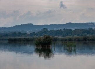Στο ΥΠΕΝ η ευθύνη για την περιβαλλοντική αποκατάσταση της λίμνης Κορώνειας