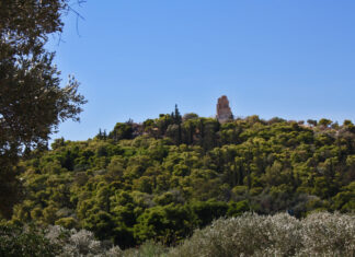 Γ. Αμυράς: Θα ξεκινήσουμε νομοθετική πρωτοβουλία για τα ζητήματα ευζωίας και προστασίας της άγριας πανίδας
