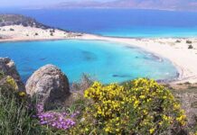 Αποκάλυψη economix – ΥΠΕΝ: έρχεται νέο καθεστώς προστασίας της φύσης σε 1000 παραλίες, θάλασσες και νησιά Simos Beach Elafonisos