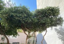 Εγκρίθηκαν «πράσινες» αναπλάσεις και τουριστικές επενδύσεις