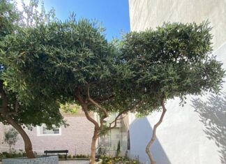 Εγκρίθηκαν «πράσινες» αναπλάσεις και τουριστικές επενδύσεις