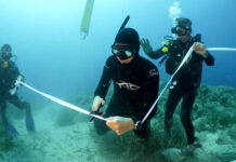 Αυτοψία αύριο στην Λήμνο για να διαπιστωθεί η ύπαρξη θαλάσσιας ρύπανσης