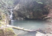 Η Ελληνική Εταιρία Προστασίας της Φύσης έκλεισε 70 χρόνια ζωής