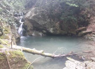 Η Ελληνική Εταιρία Προστασίας της Φύσης έκλεισε 70 χρόνια ζωής