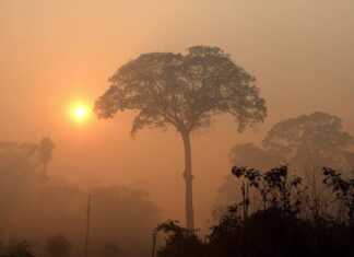 Το 2019 ήταν μια από τις τρεις θερμότερες χρονιές στην ιστορία