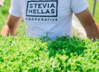 Το 2023 το πρώτο εργοστάσιο εκχύλισης στέβιας στην Ελλάδα