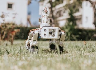 Εξελιγμένη γενιά ζωντανών ρομπότ Xenobot 2.0 δημιούργησαν ερευνητές στις ΗΠΑ