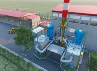 Έρευνα: Η… σκοτεινή πλευρά της ρύπανσης από την καύση βιομάζας