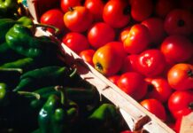 Αύξηση 10,9% στις εισαγωγές φρούτων και λαχανικών τον Σεπτέμβριο – Συνεχίζεται η ανοδική πορεία το εννεάμηνο του 2025