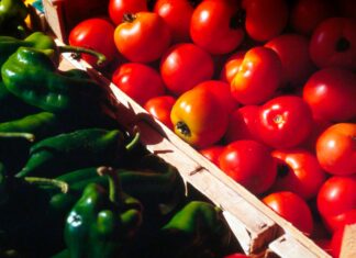 Αύξηση 10,9% στις εισαγωγές φρούτων και λαχανικών τον Σεπτέμβριο – Συνεχίζεται η ανοδική πορεία το εννεάμηνο του 2025