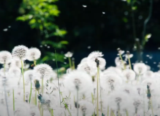 Διαφήμιση της ABO WIND εστιασμένη στην Ήπειρο