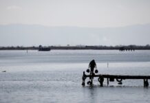 Εθελοντές ,φύλακες της φύσης