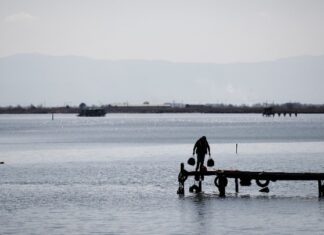 Εθελοντές ,φύλακες της φύσης