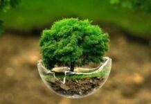 Green Tank: Οι χώρες των Δυτικών Βαλκανίων χρειάζονται ένα διακριτό ταμείο για τη δίκαιη ενεργειακή τους μετάβαση