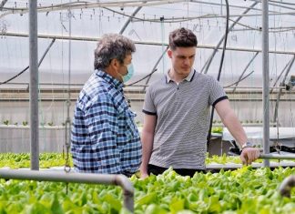 Ψηφιακό «παράθυρο» για αγορές απευθείας από το…χωράφι