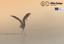 Ευρωπαϊκή Ημέρα Natura 2000