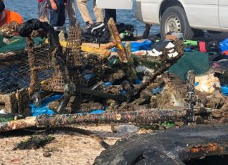 Ο βυθός του Θερμαϊκού.. κάδος απορριμμάτων