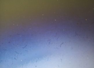 Ελληνικό ΑΕ: Θέλει πλειστηριασμό για τα ιστορικά αεροπλάνα που βρίσκονται στο παλιό αεροδρόμιο