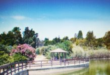 Ξεκίνησαν τα έργα βιοκλιματικού σχεδιασμού και περιβαλλοντικής αναβάθμισης στο Μητροπολιτικό Πάρκο “Αντώνης Τρίτσης”