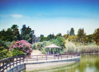 Ξεκίνησαν τα έργα βιοκλιματικού σχεδιασμού και περιβαλλοντικής αναβάθμισης στο Μητροπολιτικό Πάρκο “Αντώνης Τρίτσης”