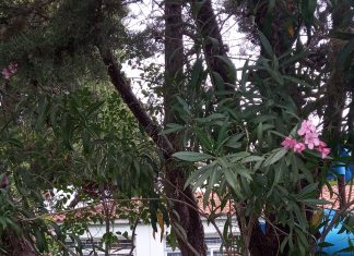 Δυο Αθλητικά Κέντρα και δύο παιδικές χαρές ξανάνιωσαν στο Ν. Κόσμο