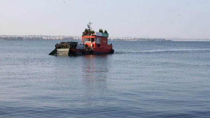 Καραθισμός Αλκίππη