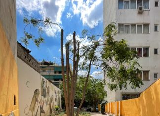 «Πάρκα τσέπης» για να μειωθούν οι πλημμύρες στις πόλεις