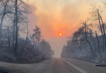 Τα έκτακτα μέτρα για την προστασία και την αποκατάσταση του φυσικού περιβάλλοντος μετά τις πυρκαγιές