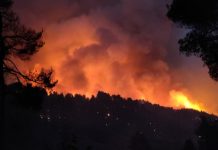 Οι συνθήκες που ευνοούν τις πυρκαγιές έγιναν 10 φορές πιο πιθανές και 22% πιο έντονες λόγω της κλιματικής αλλαγής