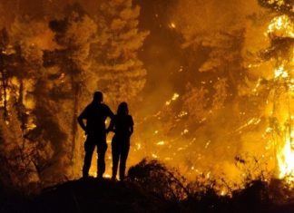 Το καλοκαίρι του 2021 που κάηκε η Μεσόγειος