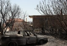 arogi.gov.gr: Πόσοι έχουν υποβάλει, μέχρι στιγμής, αιτήσεις αποζημίωσης