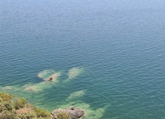 Τα κρυφά και πολύτιμα για την καταπολέμηση της κλιματικής αλλαγής “μπλε δάση” του Αιγαίου