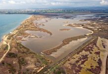 Η προστασία των οικοσυστημάτων ευθύνη και της Τοπικής Αυτοδιοίκησης