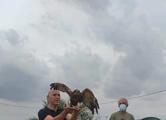 Συζητήσεις για νέο νοσοκομείο άγριων ζώων στη Θεσσαλονiκη