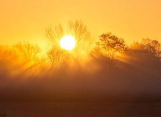Θεσσαλονίκη: Οι επιπτώσεις της κλιματικής κρίσης στο επίκεντρο της ανασυγκρότησης του ΕΛΓΑ