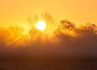 Ξεκινά η καταγραφή της βιοποικιλότητας σε είκοσι αρχαιολογικούς χώρους της Ελλάδας