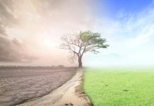 Ιωάννινα: Ιδρύθηκε Δίκτυο Συνεργασίας για την Κλιματική Ουδετερότητα από 6 δήμους της χώρας και την Λεμεσό