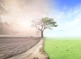 Ιωάννινα: Ιδρύθηκε Δίκτυο Συνεργασίας για την Κλιματική Ουδετερότητα από 6 δήμους της χώρας και την Λεμεσό