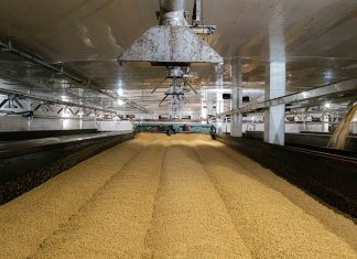 Αθηναϊκή Ζυθοποιία: «Βιώσιμη Ανάπτυξη σε όλη τη διαδρομή… από το χωράφι στο ποτήρι!»