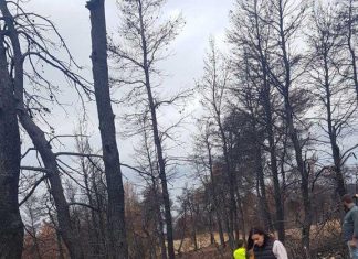 ΥΠΕΝ: Δεκάδες χιλιόμετρα αντιπλημμυρικών και αντιδιαβρωτικών έργων έχουν ήδη ολοκληρωθεί